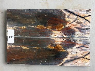 Stabilisiertes Mammutelfenbein - 2